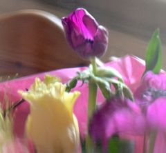 der Ursprung - ein Blumenstrauss