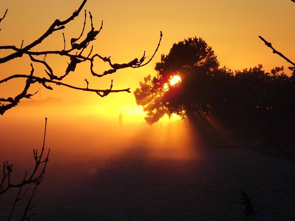 Der urzeitliche Sonnenuntergang im Nebel