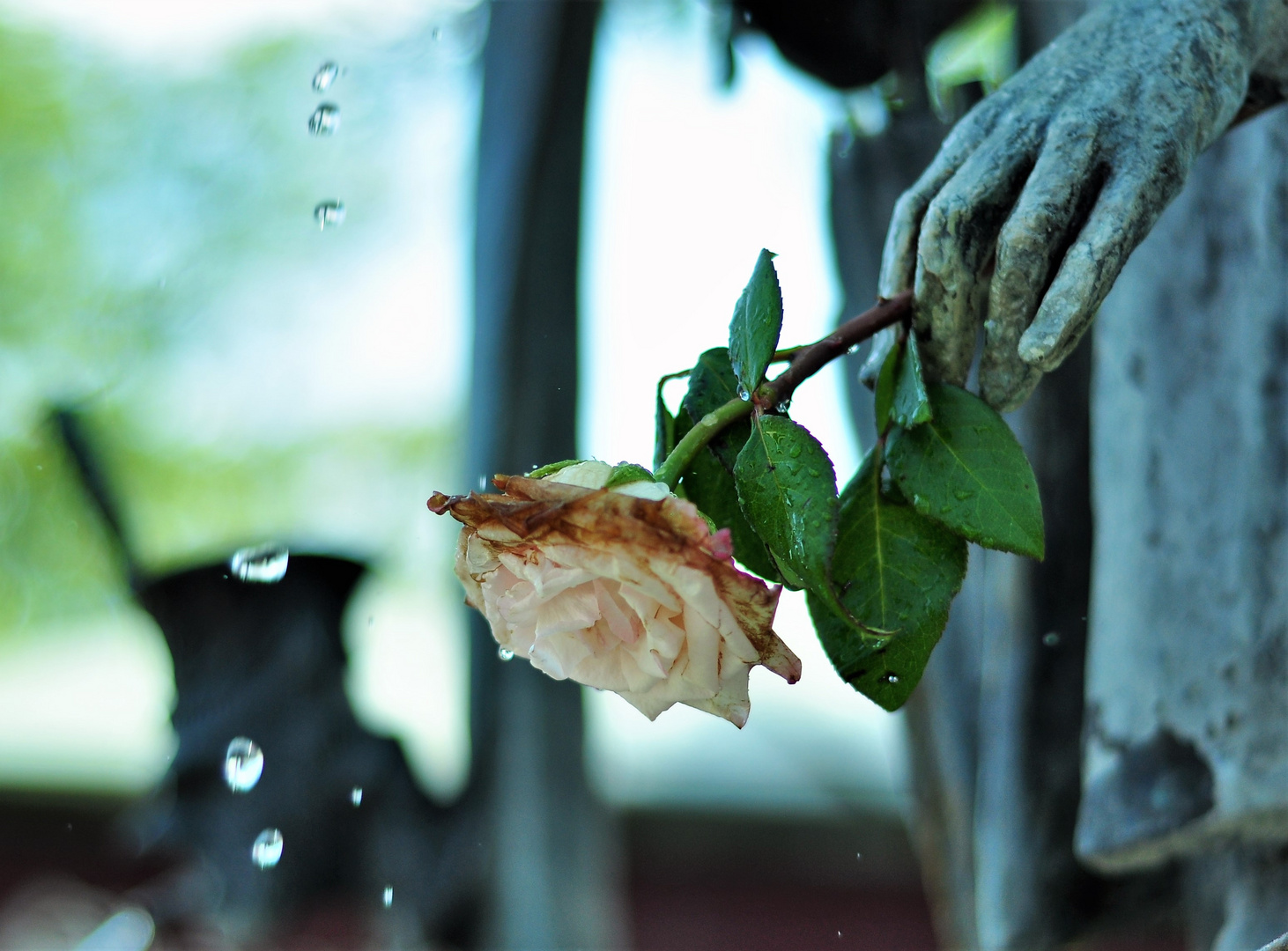 Der Valentin friert und seine Rose auch. 