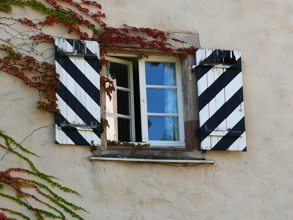 Der Veitschi ist schon wieder mal ganz schön fürwitzig! :-))