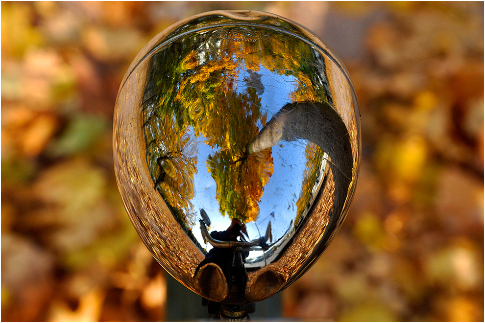 Der verbeulte Herbst