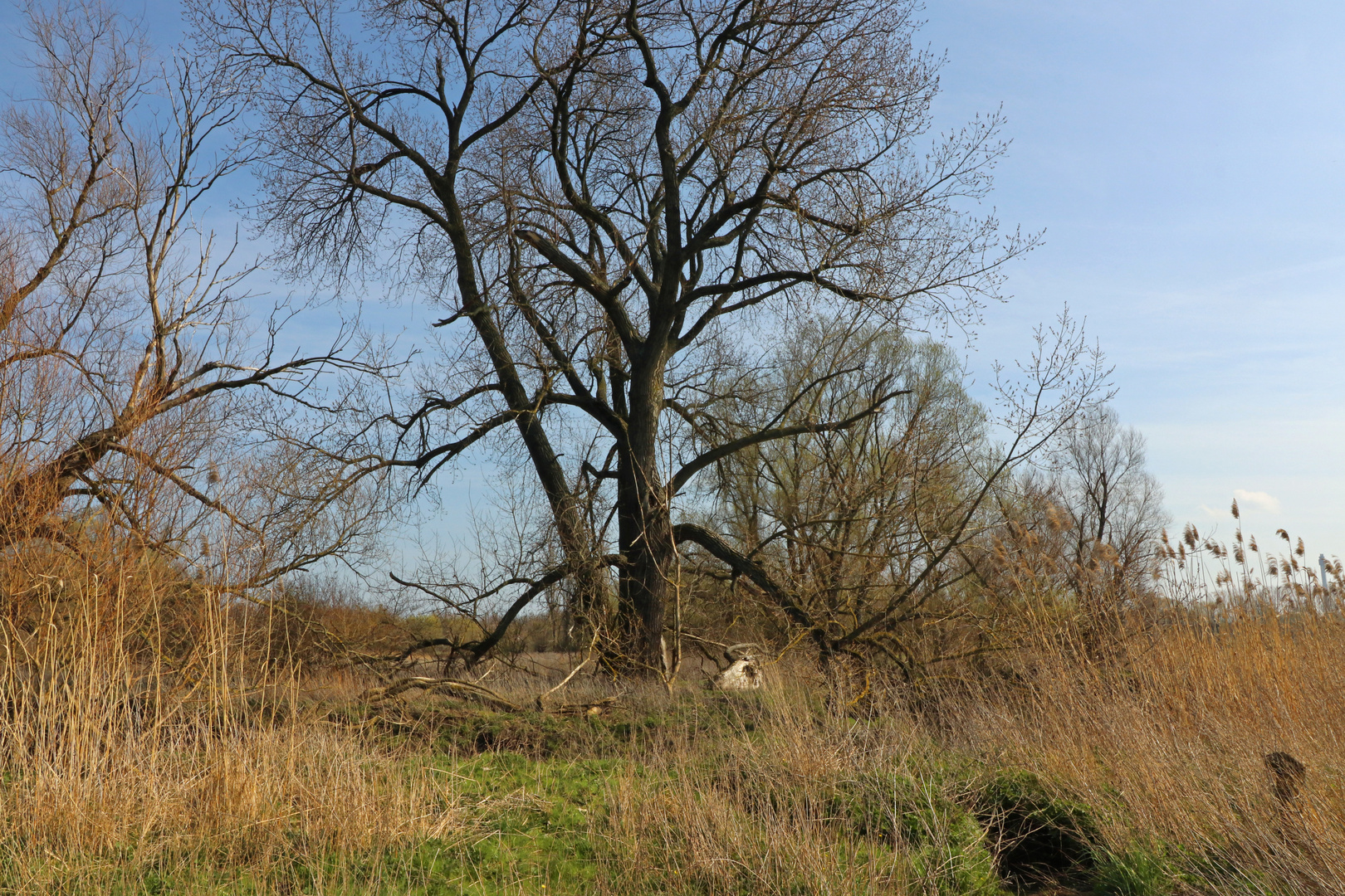 Der verborgene Fluss