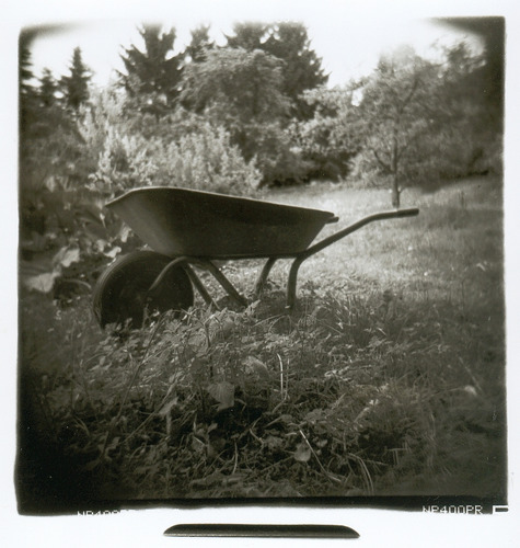 Der verbotene Garten Foto & Bild sonstiges, natur Bilder auf