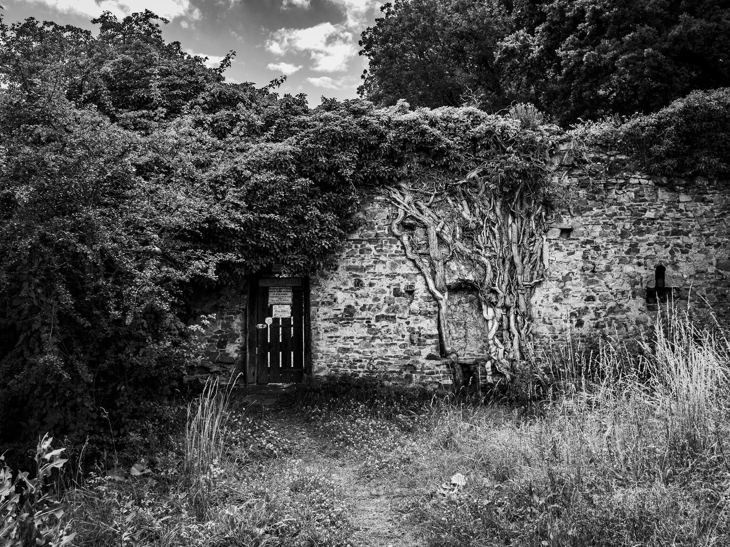 Der verbotene Garten Foto & Bild landschaft, garten