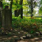 Der vergessene Friedhof von Markendorf (1)