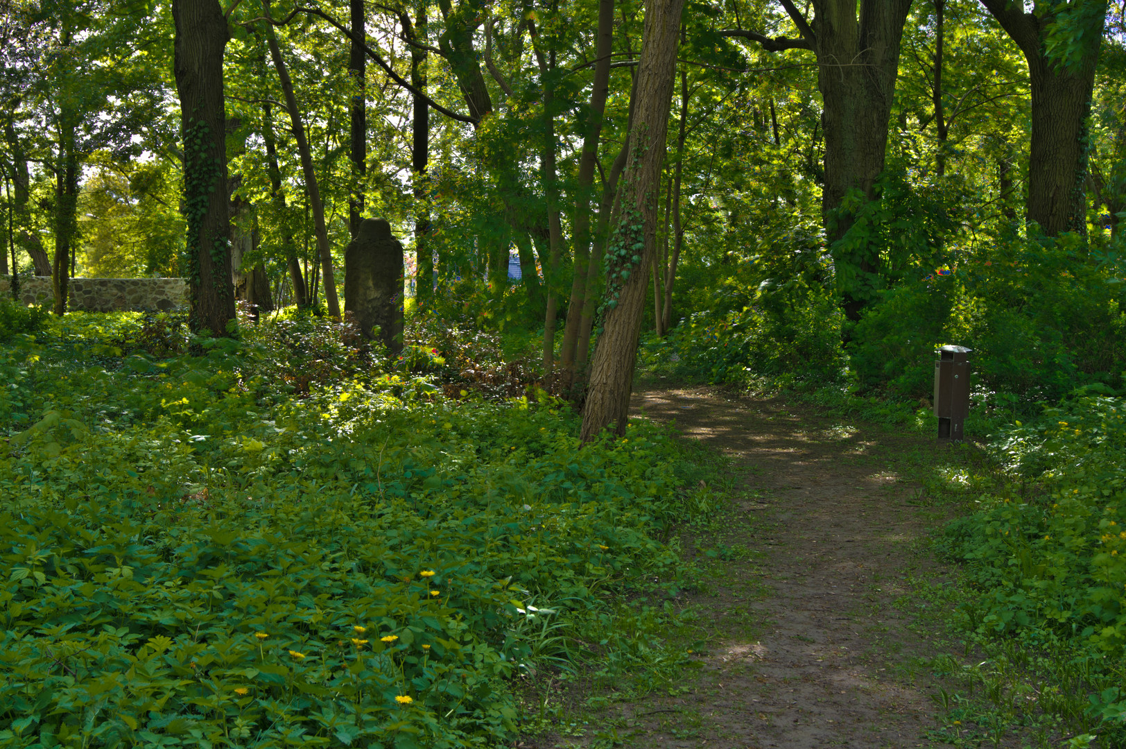 Der vergessene Friedhof von Markendorf (2)