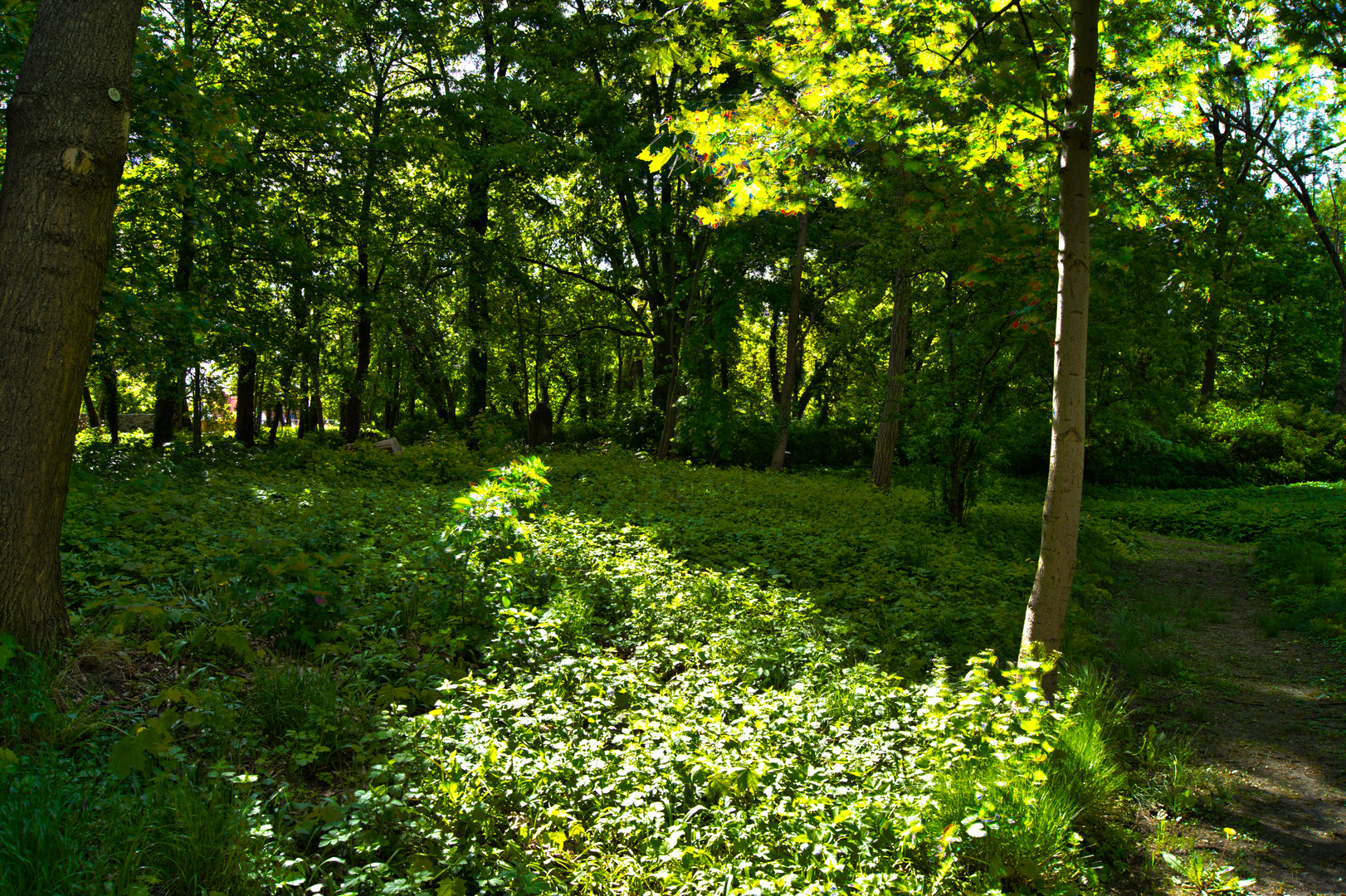 Der vergessene Friedhof von Markendorf (3)