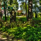 Der vergessene Friedhof von Markendorf (4)