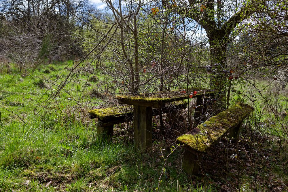 Der vergessene Garten