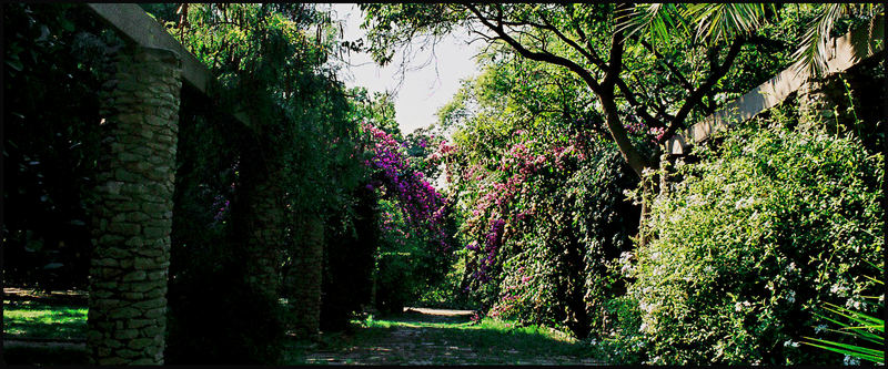 Der vergessene Garten Foto & Bild europe, spain, aragon & katalonien