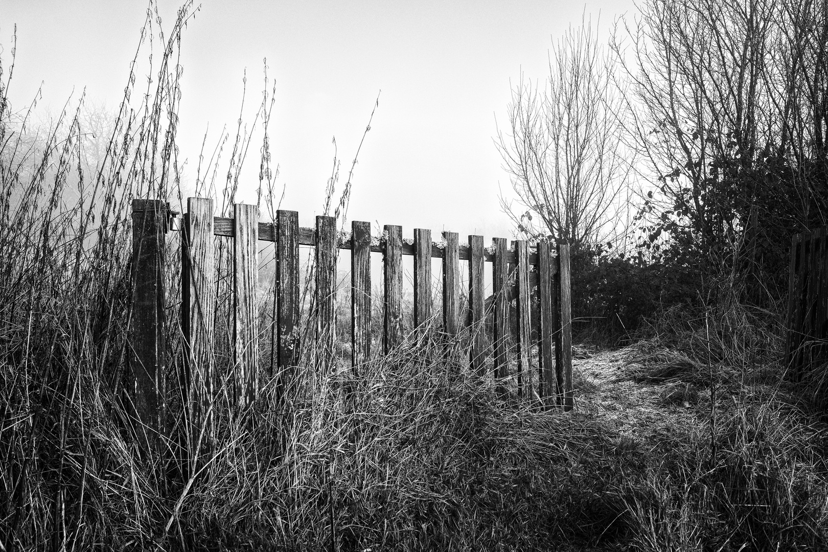 Der vergessene Garten