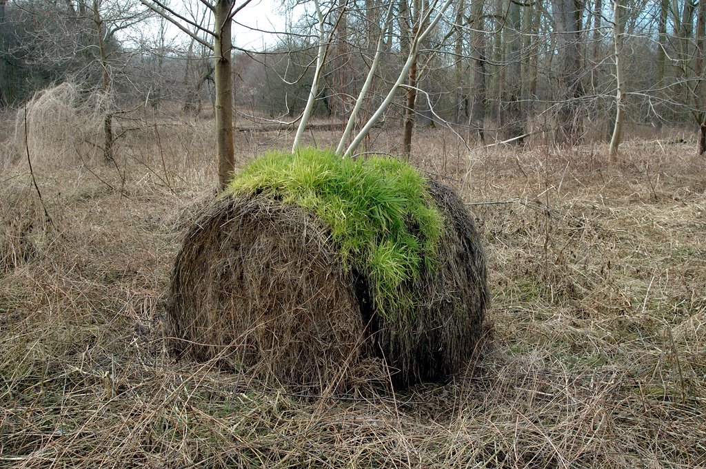 Der vergessene Strohballen.....oder: Der einzige Farbtupfer