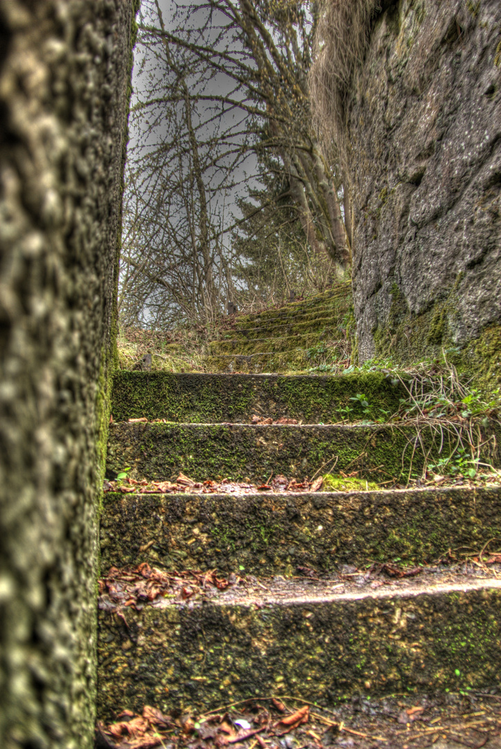 Der vergessene Weg