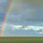 Der verheißungsvolle Regenbogen