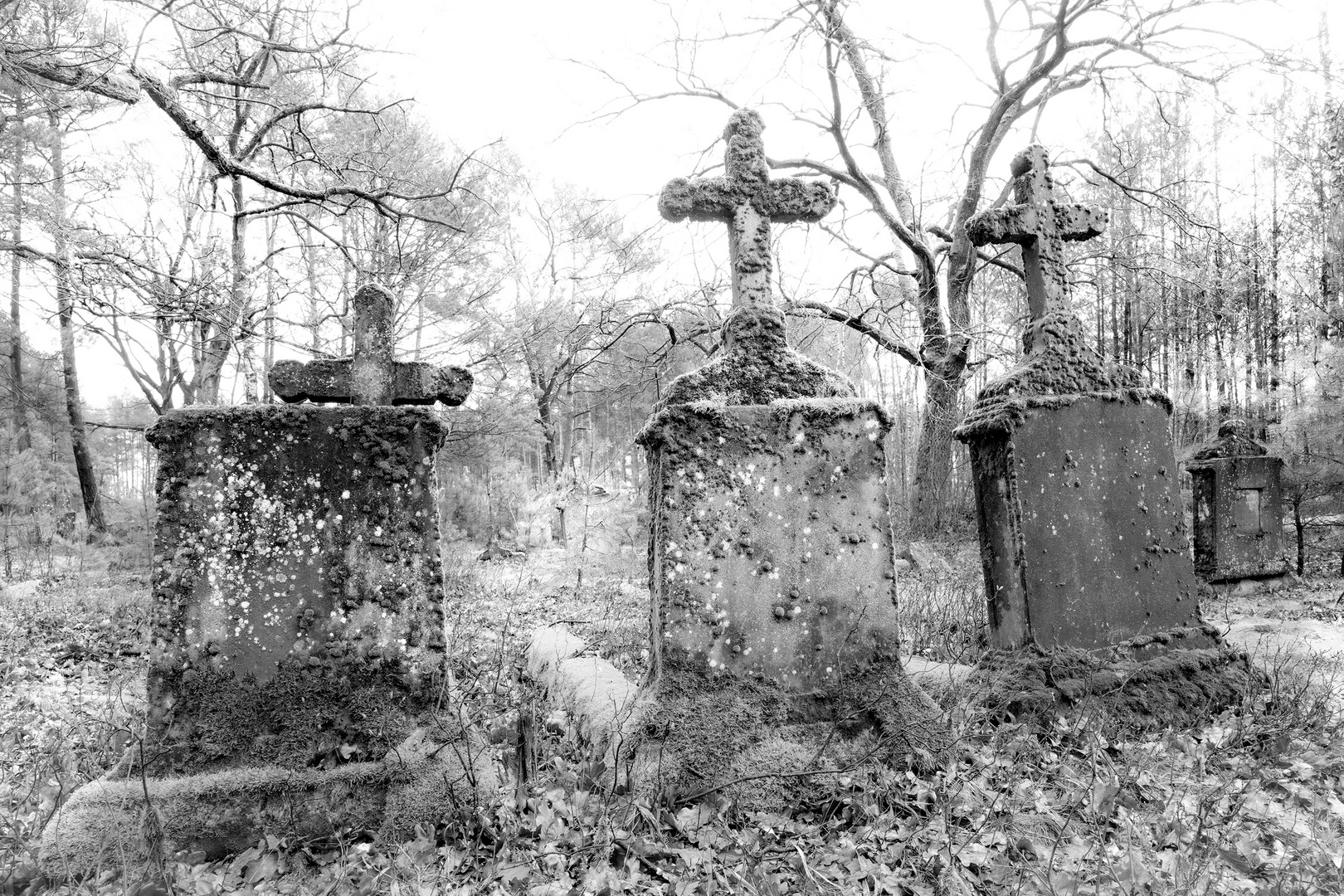 Der verlassene Friedhof im Wald 4