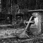 Der verlassene Friedhof im Wald 5