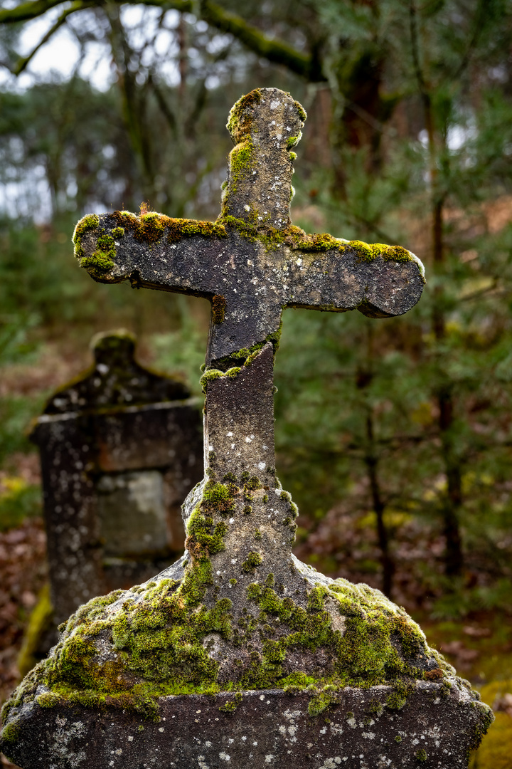 Der verlassene Friedhof im Wald I