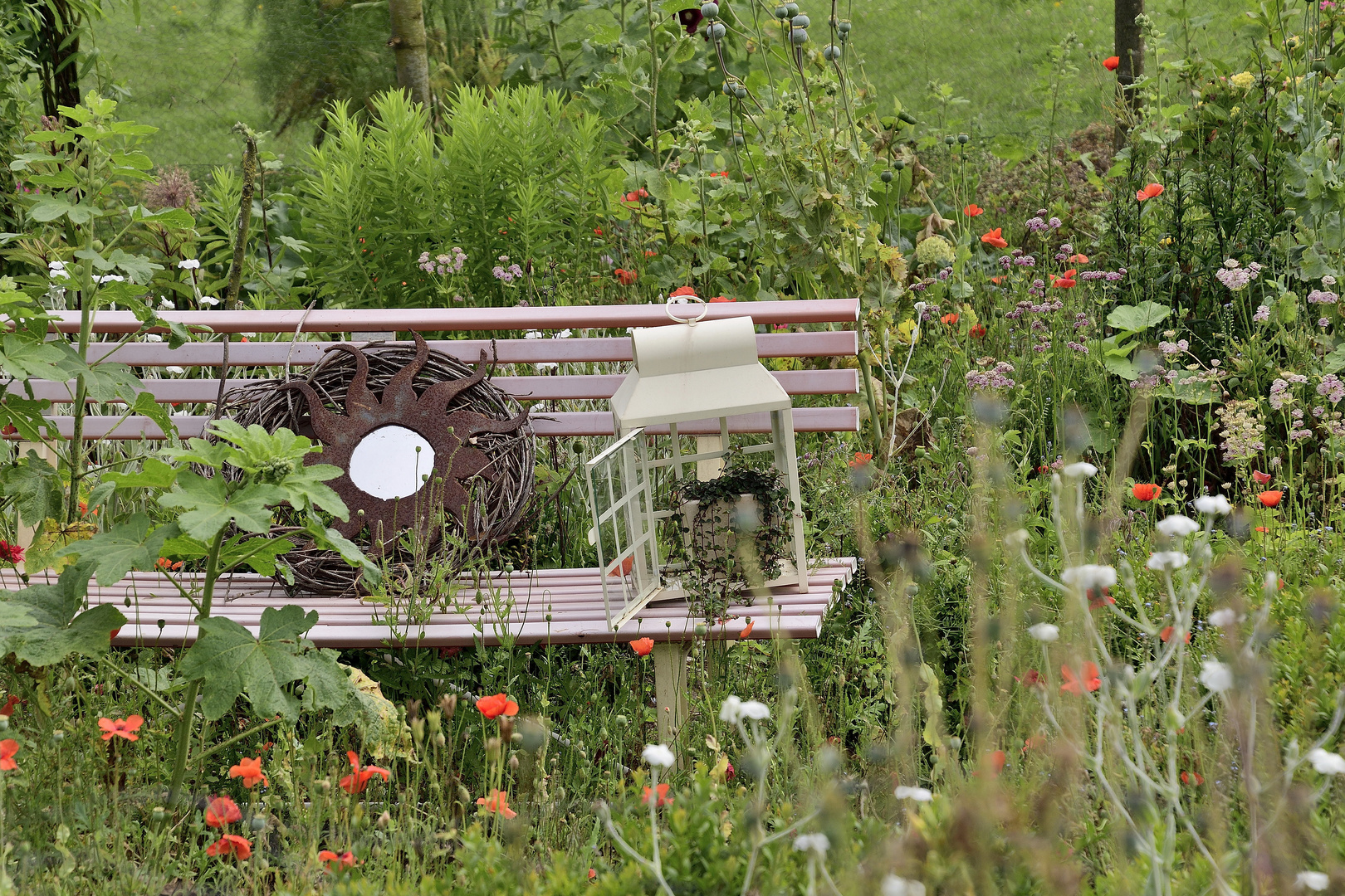 der verlassene Garten 2