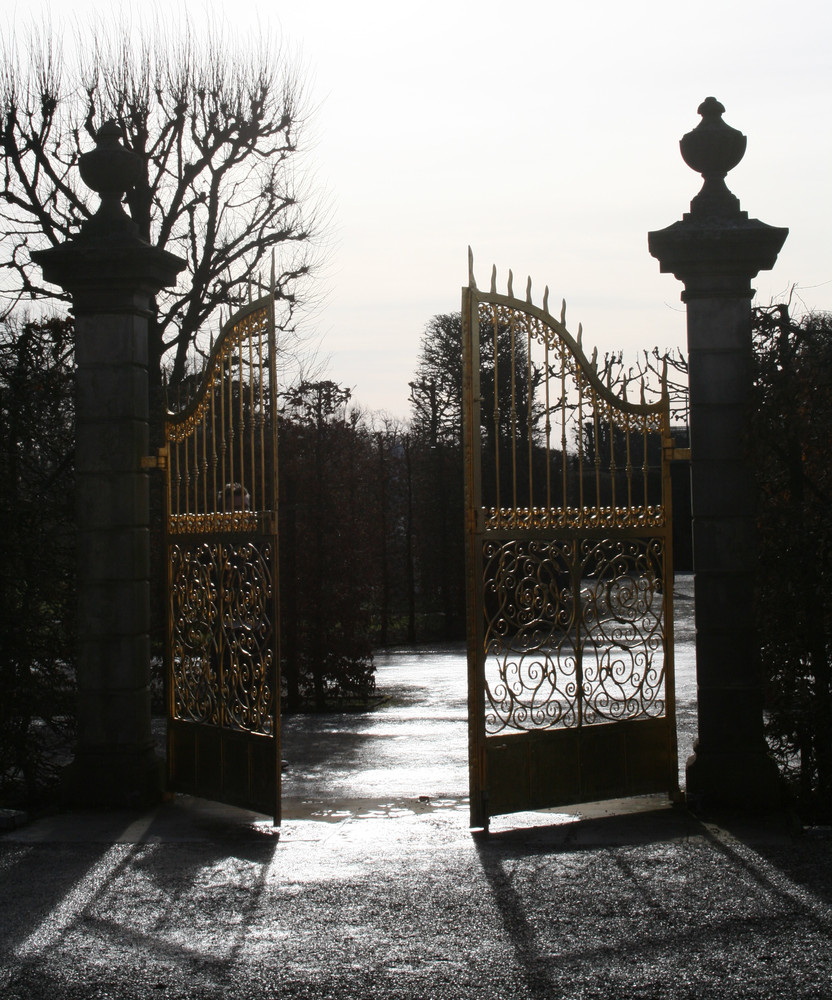 Der verlassene Garten