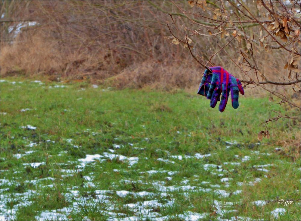 Der verlorene Handschuh