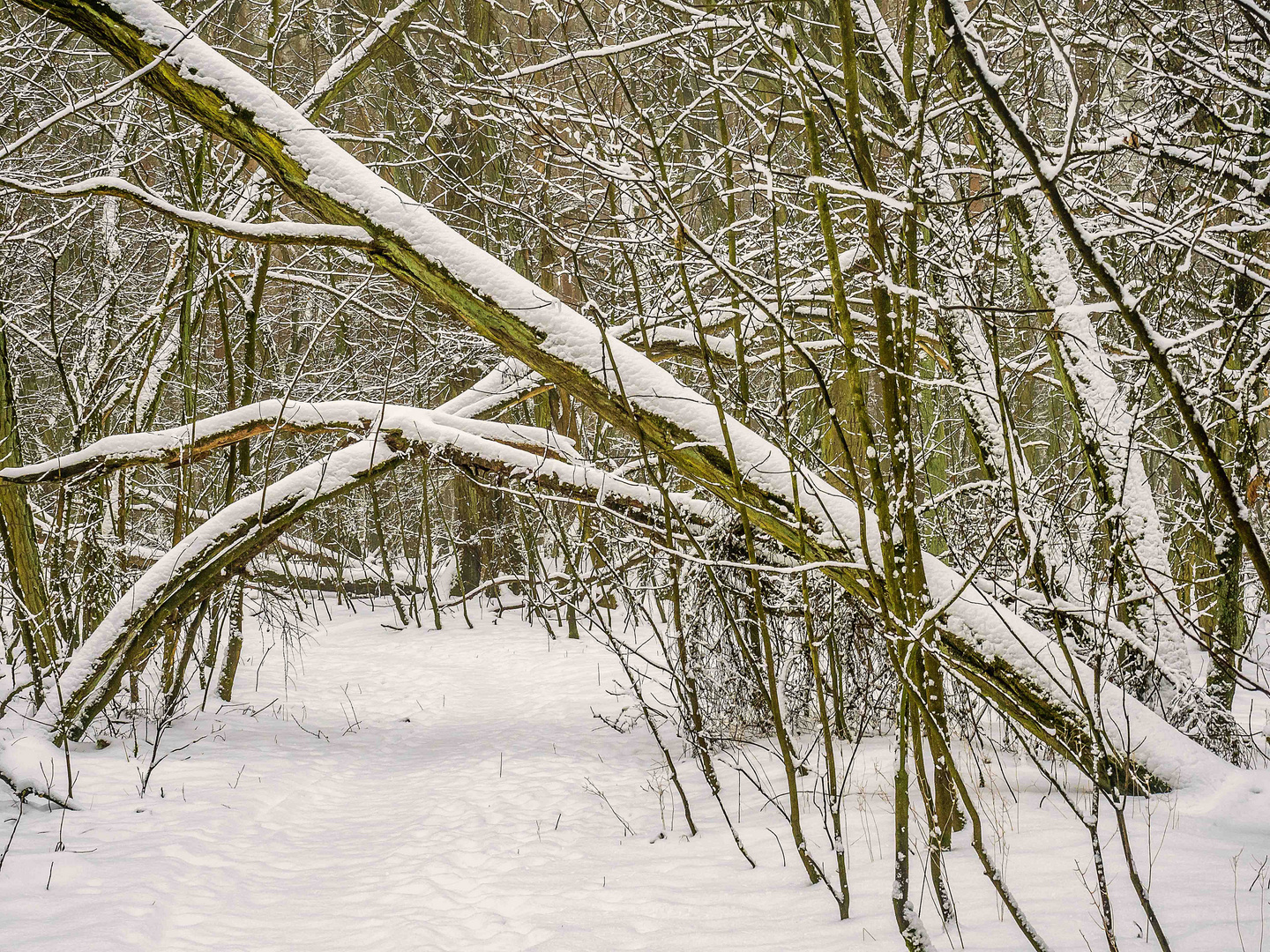 Der (vermutlich) letzte Schneefall dieses Winters