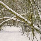 Der (vermutlich) letzte Schneefall dieses Winters