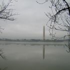 Der vernebelte Obelisk in Washington D.C.