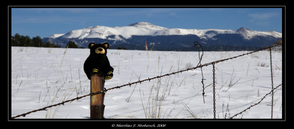 Der Verreisebär auf dem Weg in die Berge