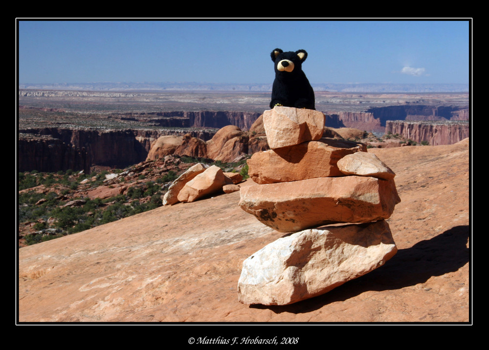 Der Verreisebär im Canyonlands NP