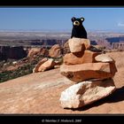 Der Verreisebär im Canyonlands NP