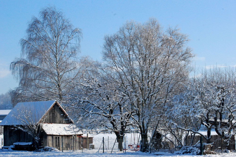 Der verschneite Garten (19)