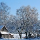 Der verschneite Garten (19)