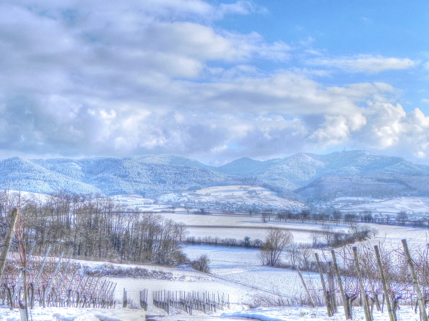 Der verschneite Schwarzwald