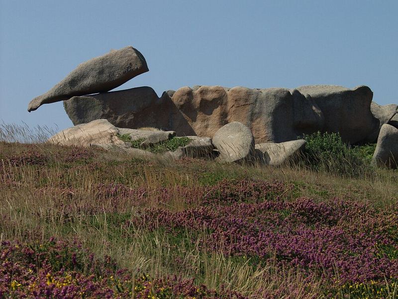 der "versteinerte" Wall von Perros - Bretagne