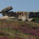 der "versteinerte" Wall von Perros - Bretagne