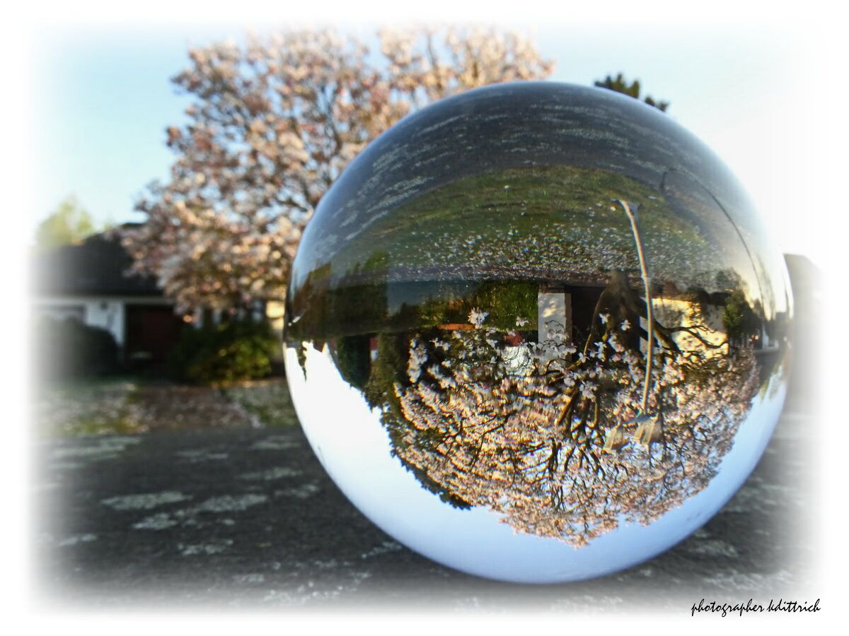 Der verträumte Blick in Nachbars Garten....