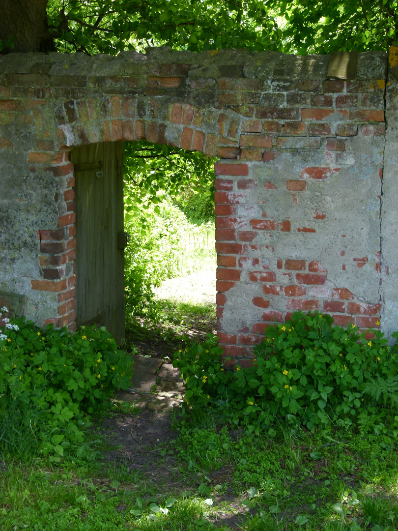 der verwunschene Garten