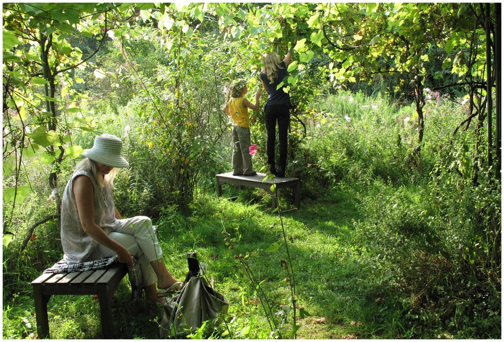 Der verwunschene Garten