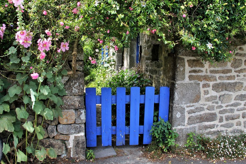 Der verwunschene Garten