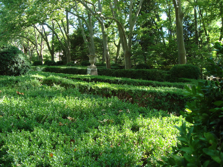 Der verwunschene Garten