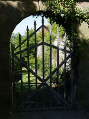 Der verwunschene Garten....