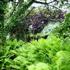 Der verwunschene Garten - Vogelhaus