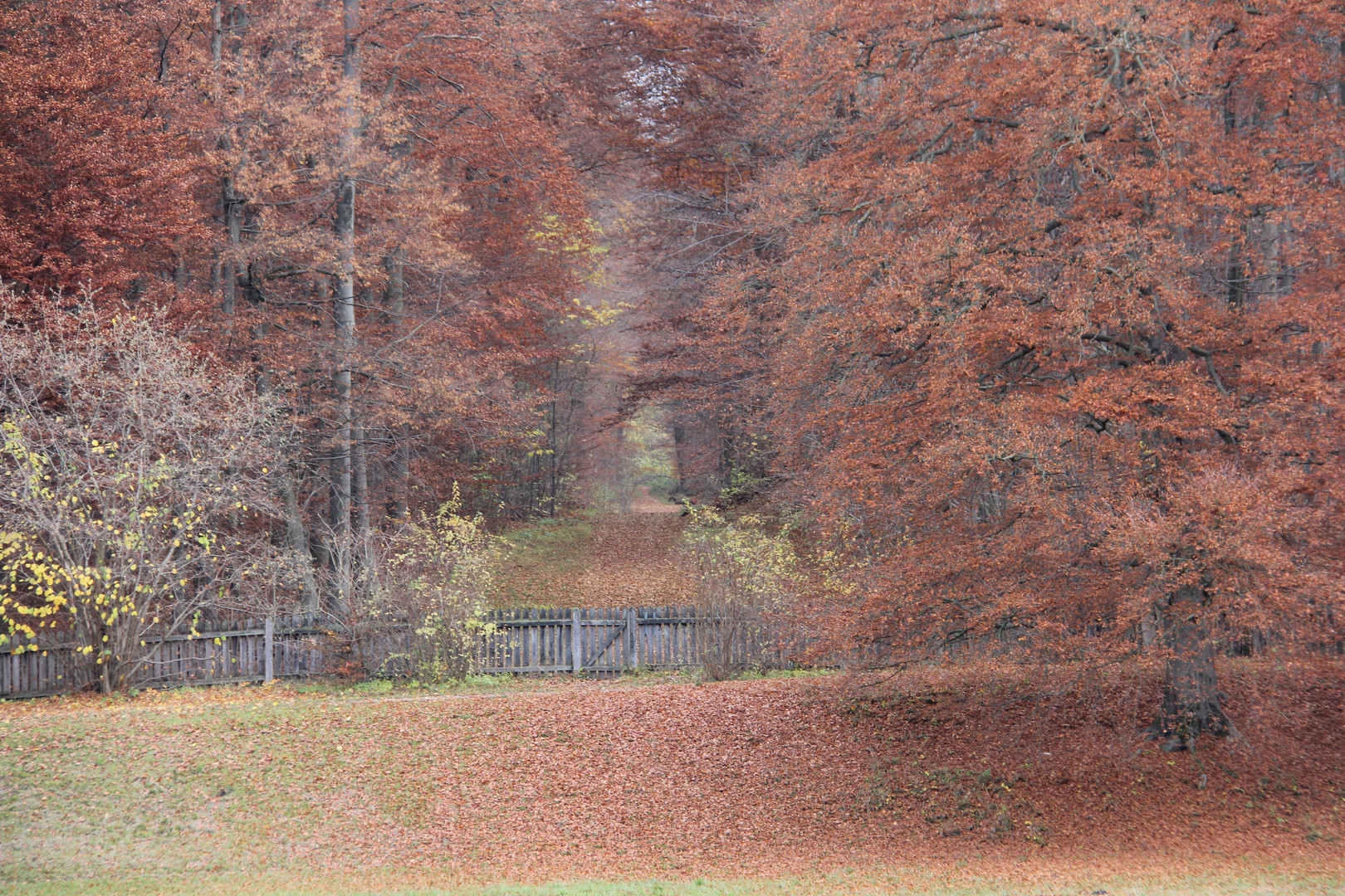 Der verwunschene Park