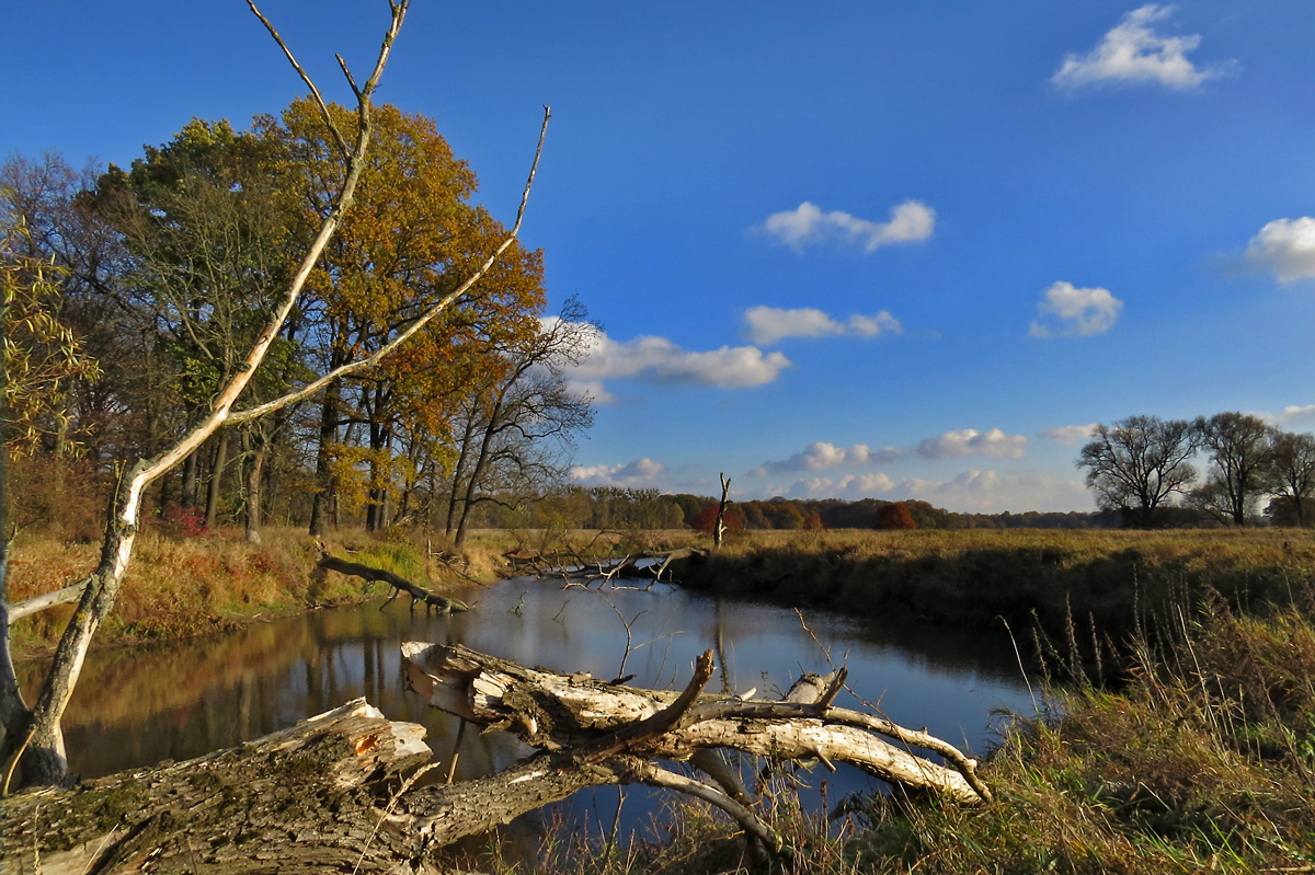 DER VERWUNSCHENE SEE