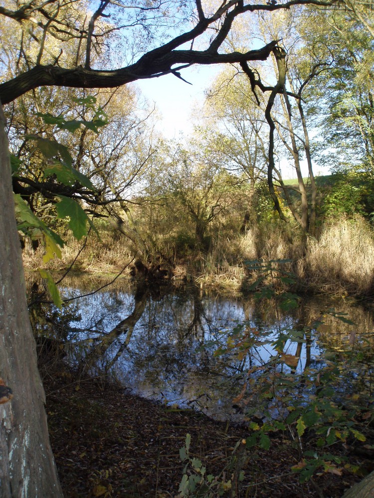 Der verwunschene See