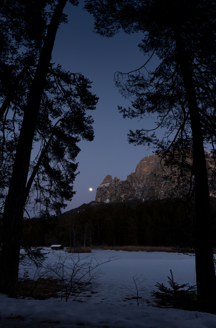 der verwunschene See im Wald/ il lago incantato nel bosco