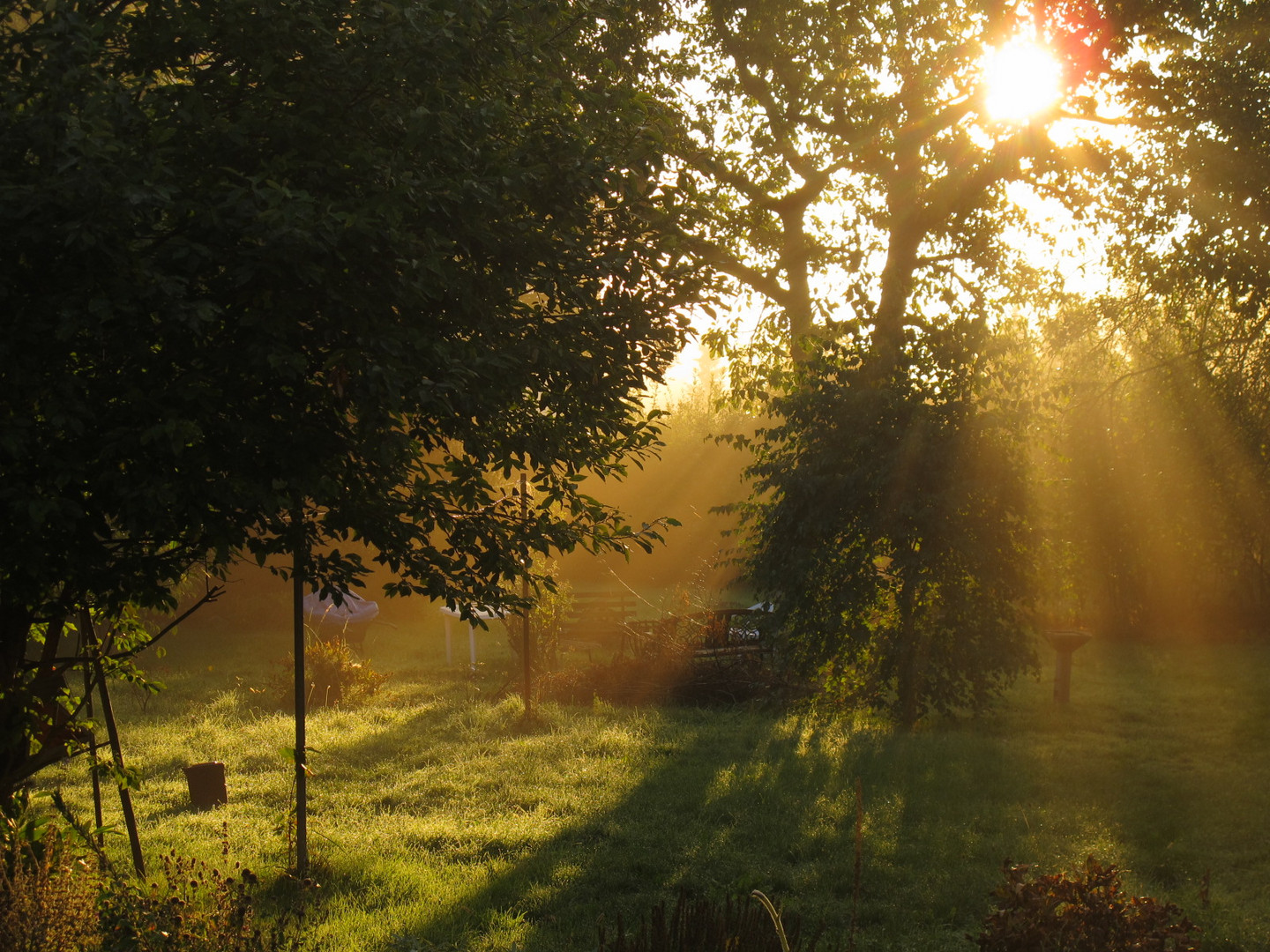 Der verzauberte Garten Foto & Bild jahreszeiten, herbst, natur Bilder