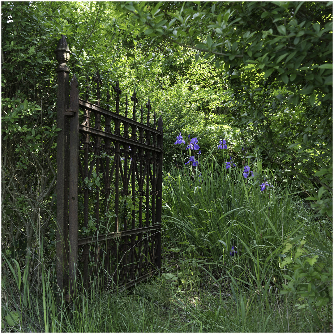 der verzauberte garten Foto & Bild landschaft, garten