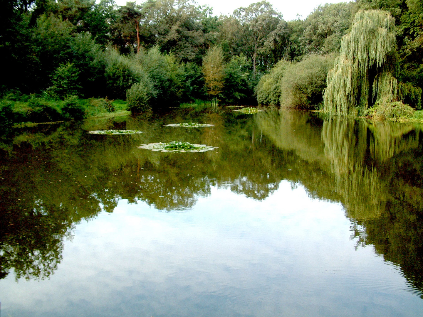 Der verzauberte See