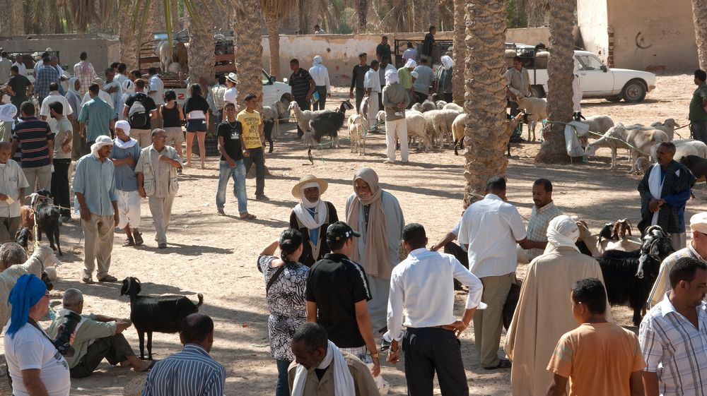 Der Viehmarkt in Douz, ein Platz (fast) ohne Touristen